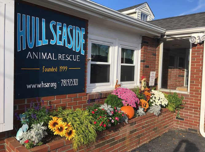 Hull Seaside Animal Rescue