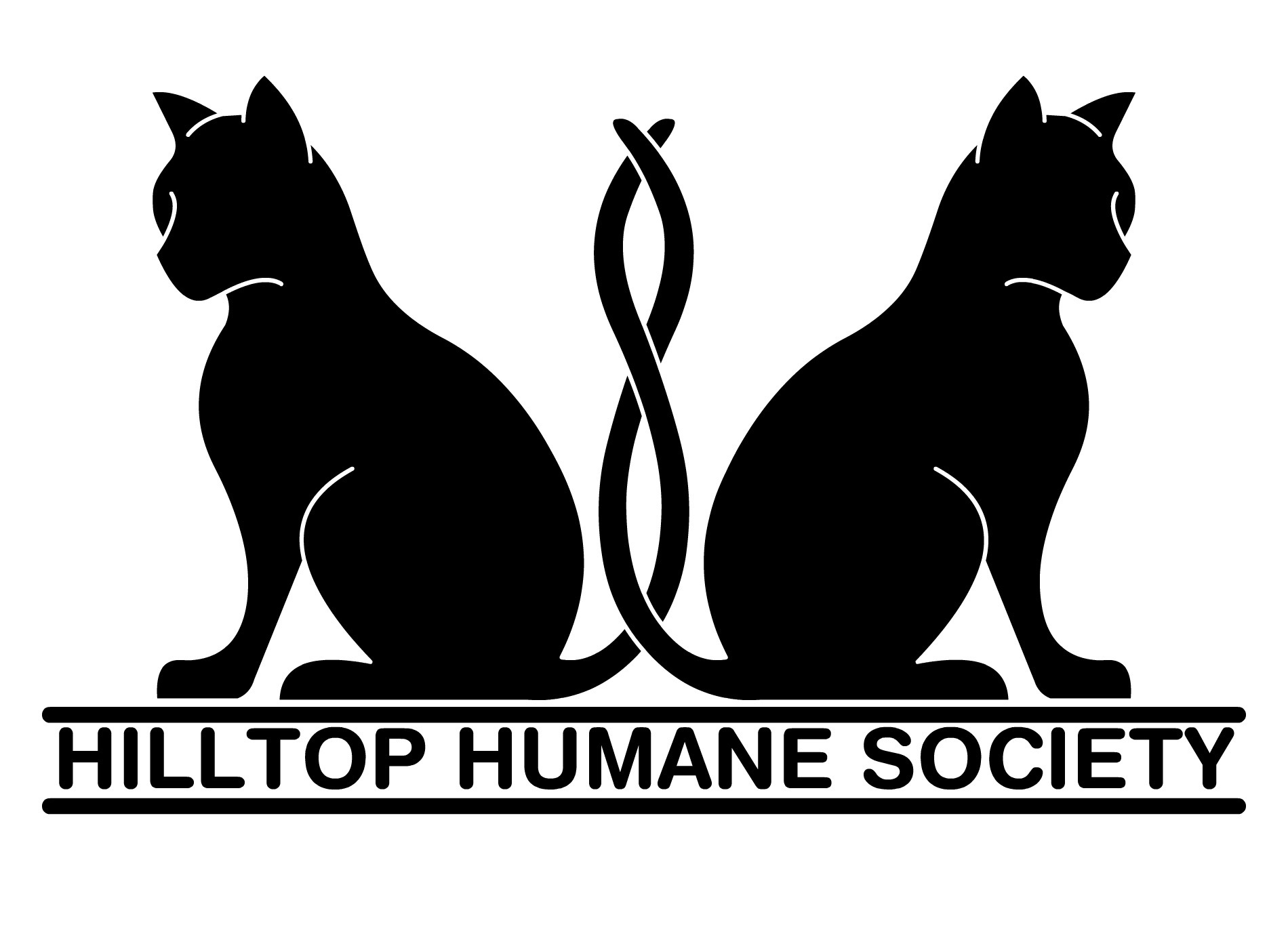 Pets for Adoption at Hilltop Humane Society, in South Weymouth, MA ...