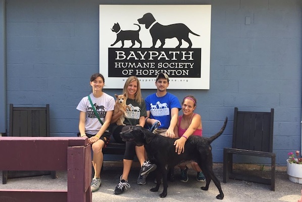 Baypath humane society in hopkinton purpose of change management in healthcare