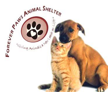 Forever Paws Animal Shelter