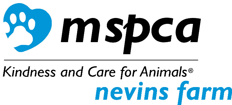 Pets For Adoption At Mspca At Nevins Farm In Methuen Ma Petfinder