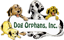 Dog Orphans Inc.