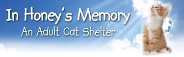 In Honey's Memory Cat Shelter