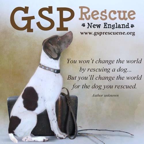 GSP Rescue New England