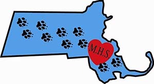 Massachusetts Humane Society Inc.
