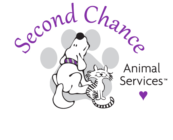 second chance cat adoption