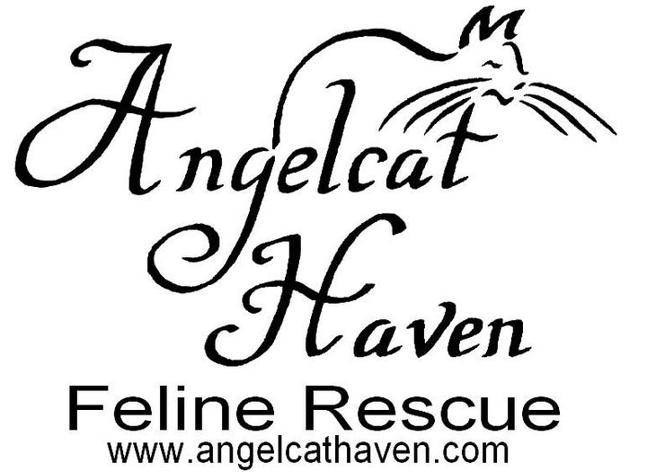 Angelcat Haven