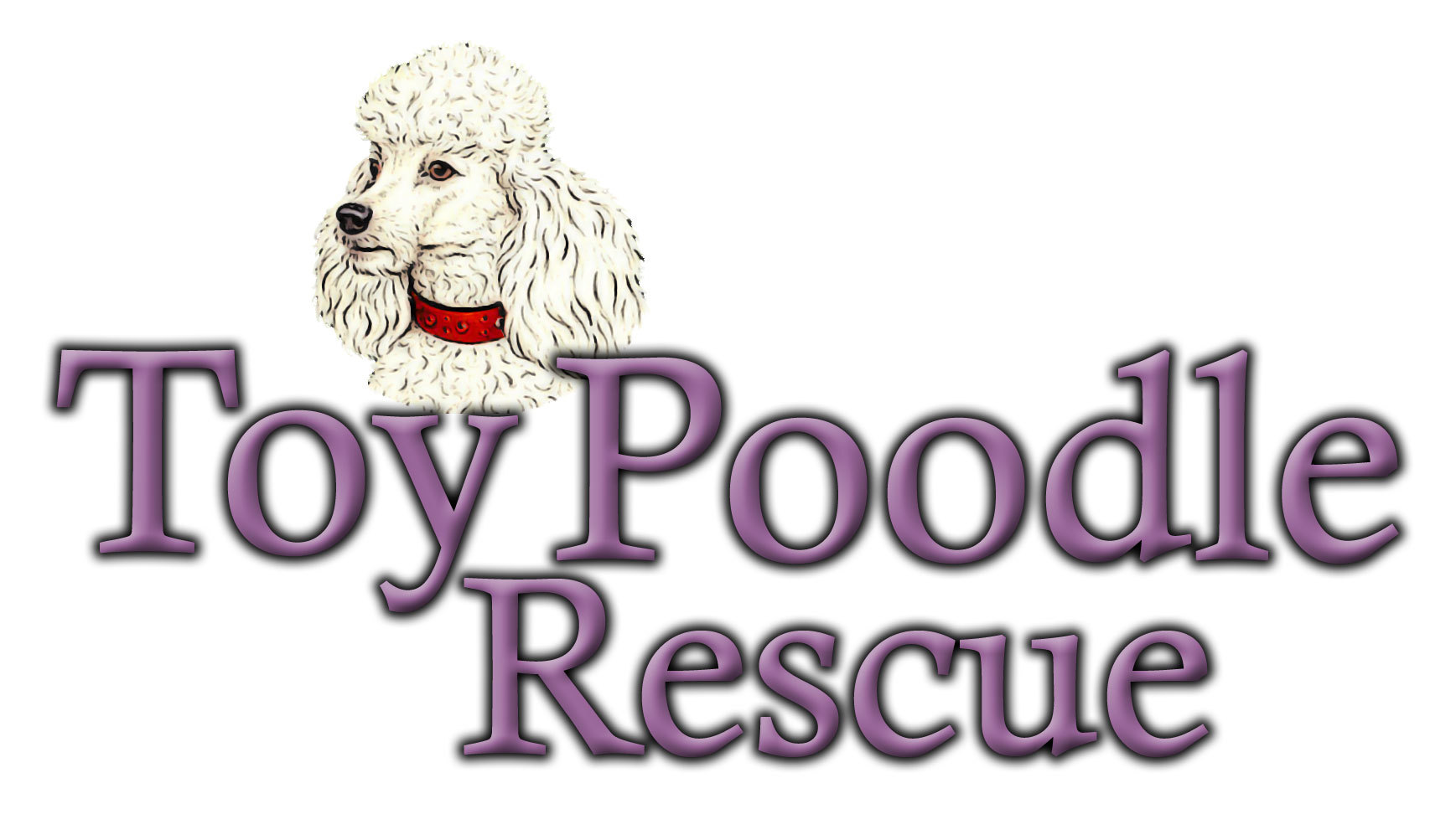 poodle rescue organizations