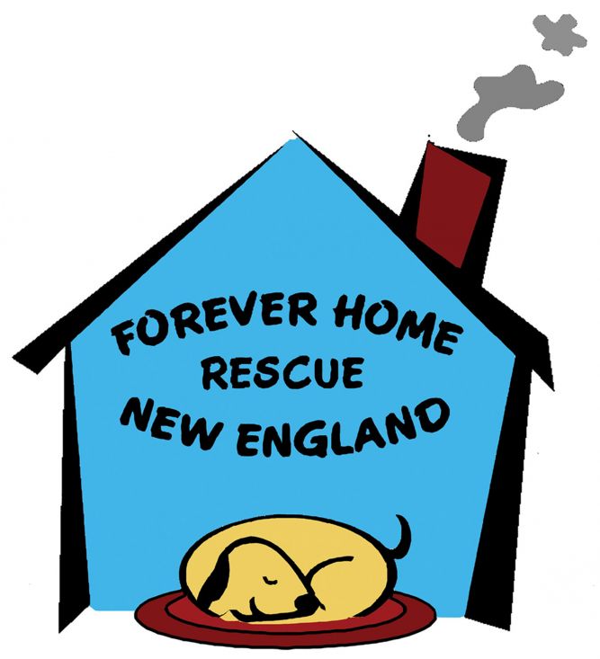 Forever Home Rescue New England