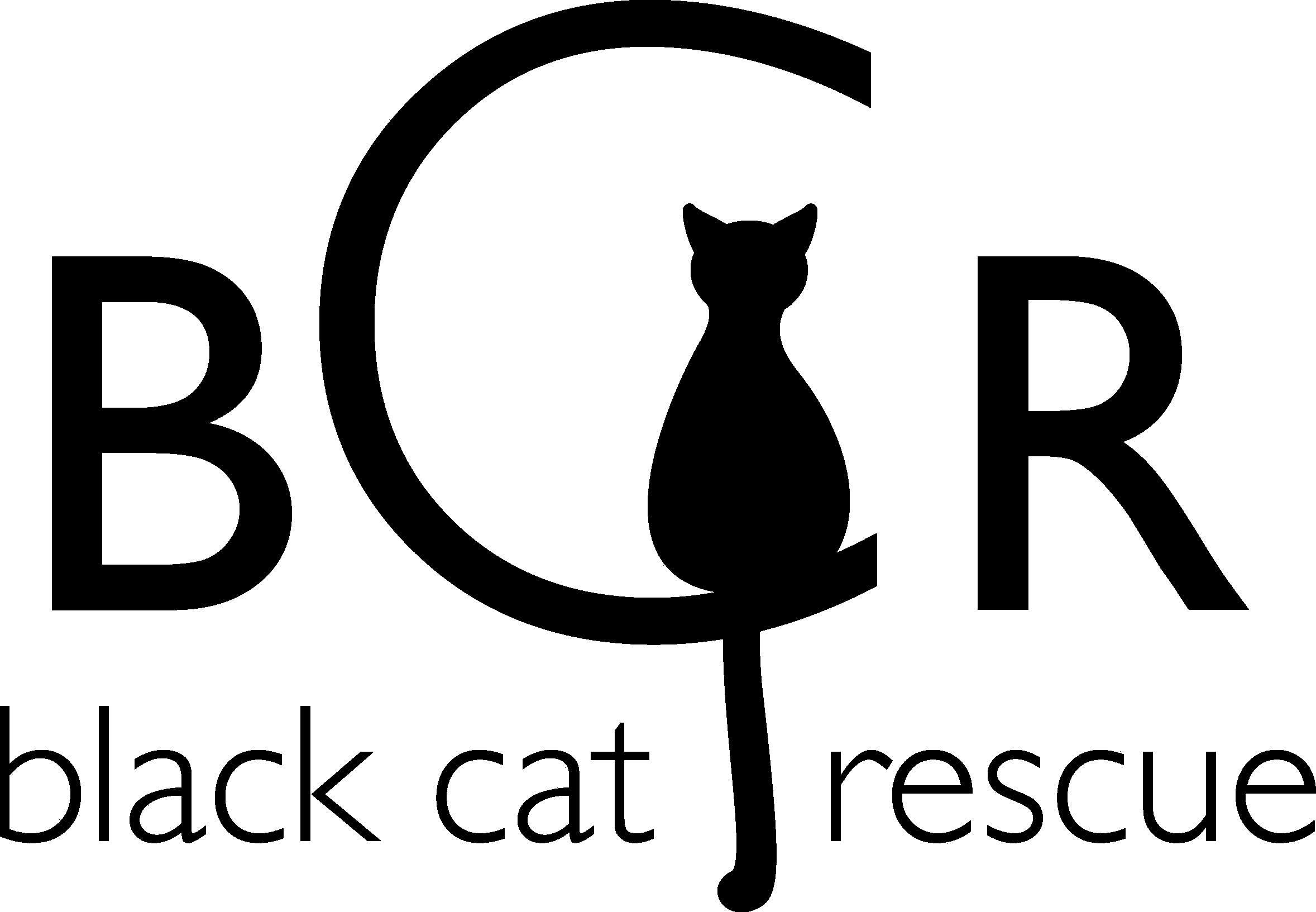 black kitten rescue