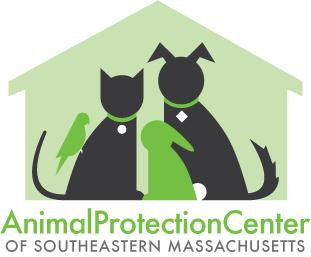 animal shelter brockton massachusetts