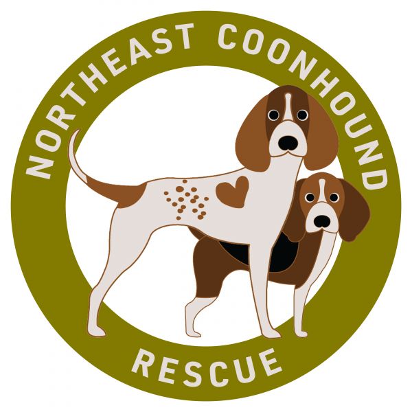 Northeast Coonhound Rescue