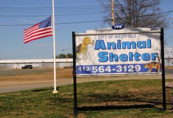 Shelter sign from the road