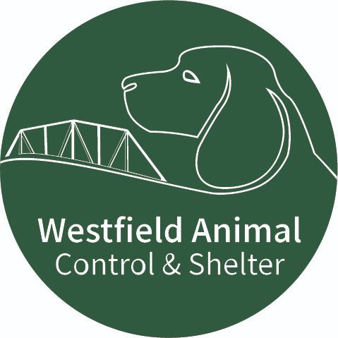 Westfield Animal Shelter