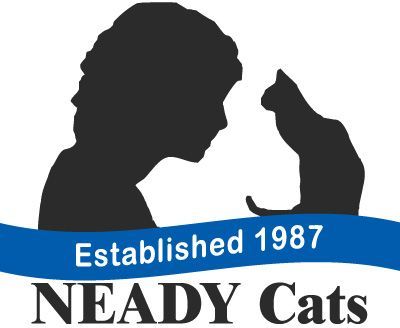 NEADY Cats Inc.