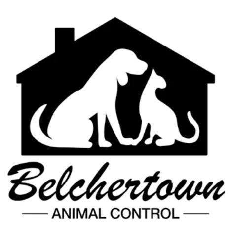 Belchertown Animal Control