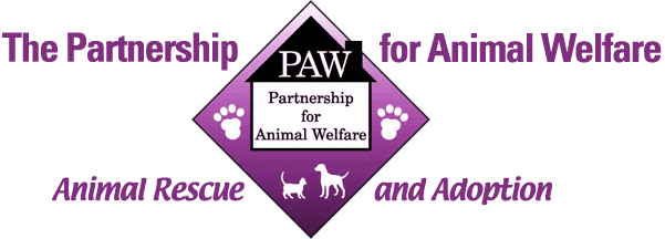 Presents for Paws - a project benefiting animal welfare groups