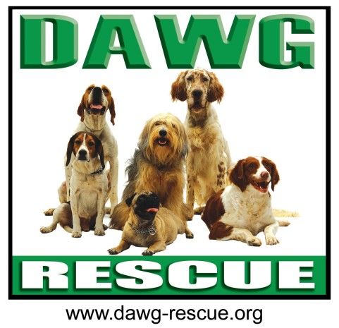 Best DAWG Rescue Inc.