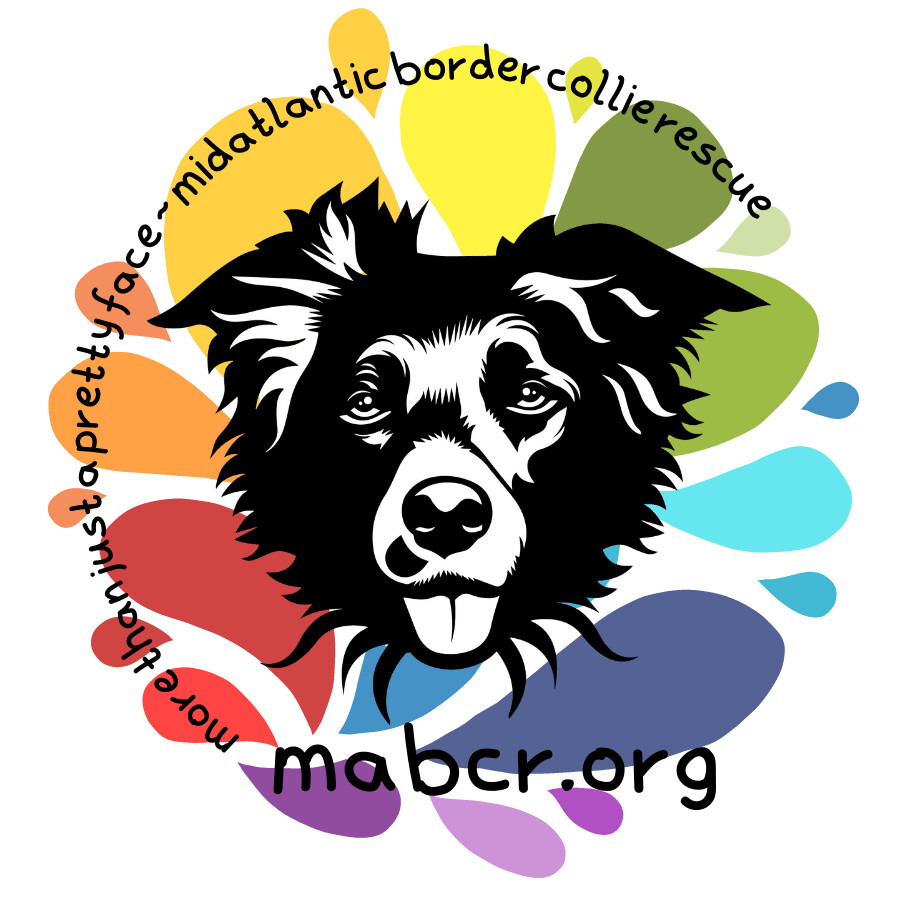 Mid-Atlantic (Kent County) Border Collie Rescue