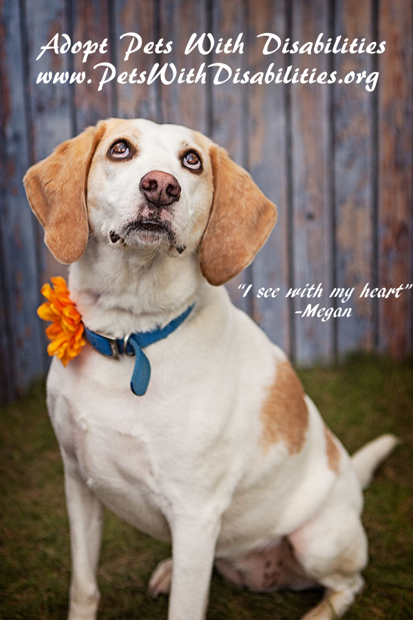 Pets for Adoption at Pets with Disabilities, in Prince Frederick, MD