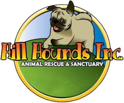 Celebrating Pugs & Pups with Hill Hounds Rescue and Animal Sanctuary Inc.