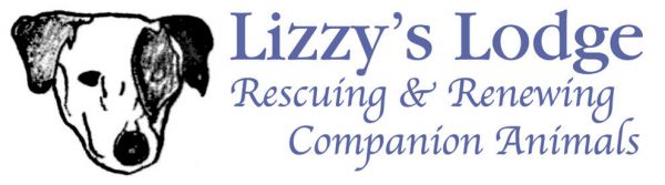 Lizzys Lodge