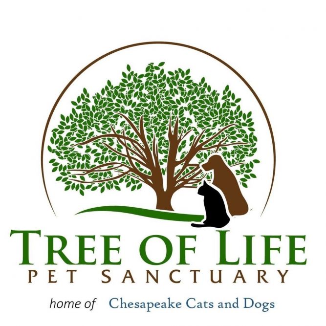 Chesapeake Cats and Dogs
