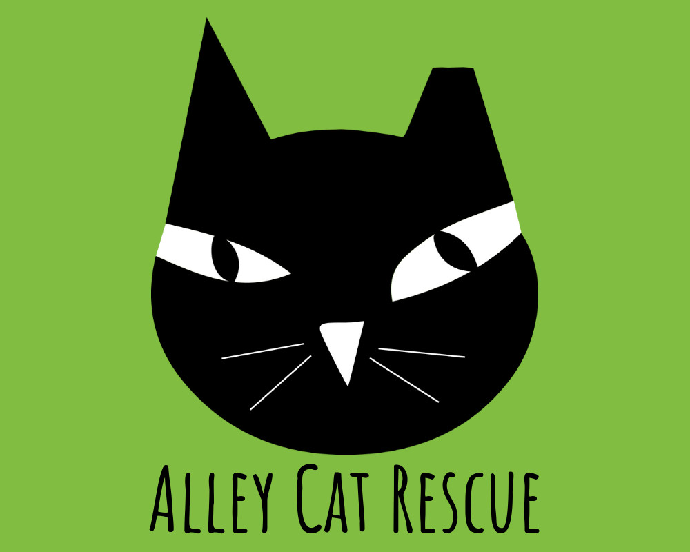 Pets for Adoption at Alley Cat Rescue Inc, in Mount Rainier, MD | Petfinder