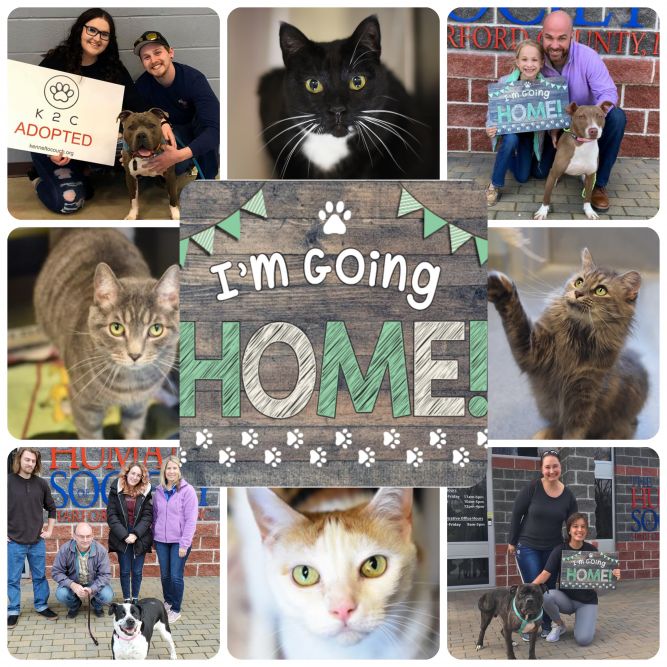 Humane Society of Harford County