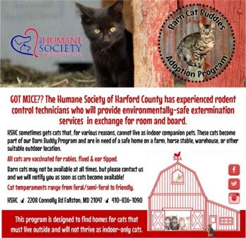 Hook up with a barn cat for natural pest control