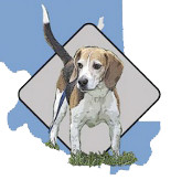 Beagle Rescue of Southern Maryland Inc.