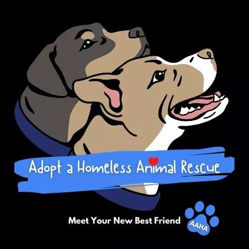 Adopt a Homeless Animal Rescue