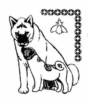 Akita Rescue Mid Atlantic Coast, Inc.