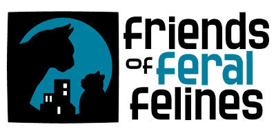 Friends of Feral Felines