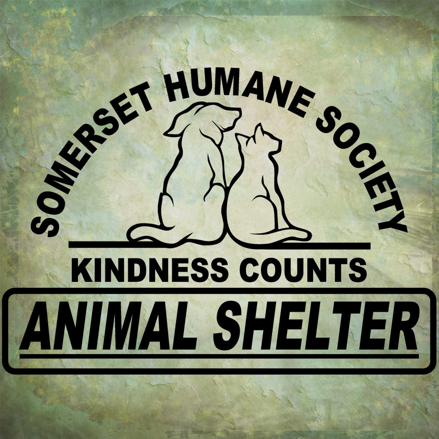 Pets for Adoption at Somerset Humane Society, in Skowhegan, ME | Petfinder