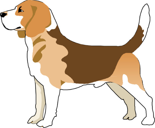 Tall Tails Beagle Rescue