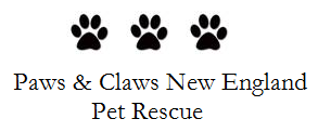 Paws and Claws New England