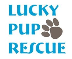 Lucky Pup Rescue