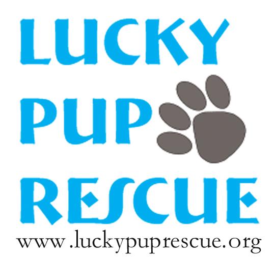 Lucky Pup Rescue