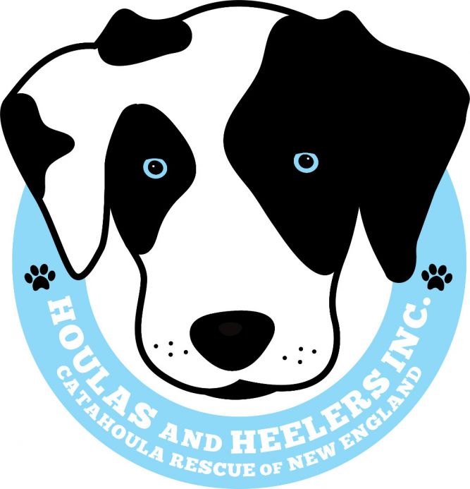 Catahoula Rescue of New England