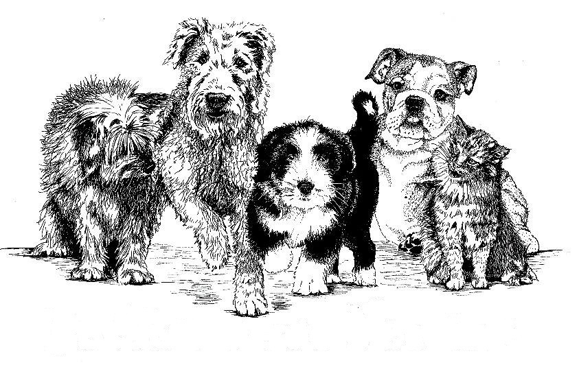 Pets for Adoption at Pet Resource Network Inc., in Otsego, MI Petfinder