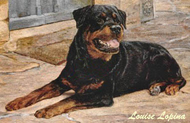 Pets For Adoption At Rottweiler Rescue Of Michigan Inc In Lansing Mi Petfinder
