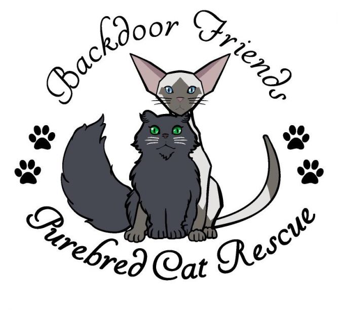 Backdoor Friends Purebred Cat Rescue