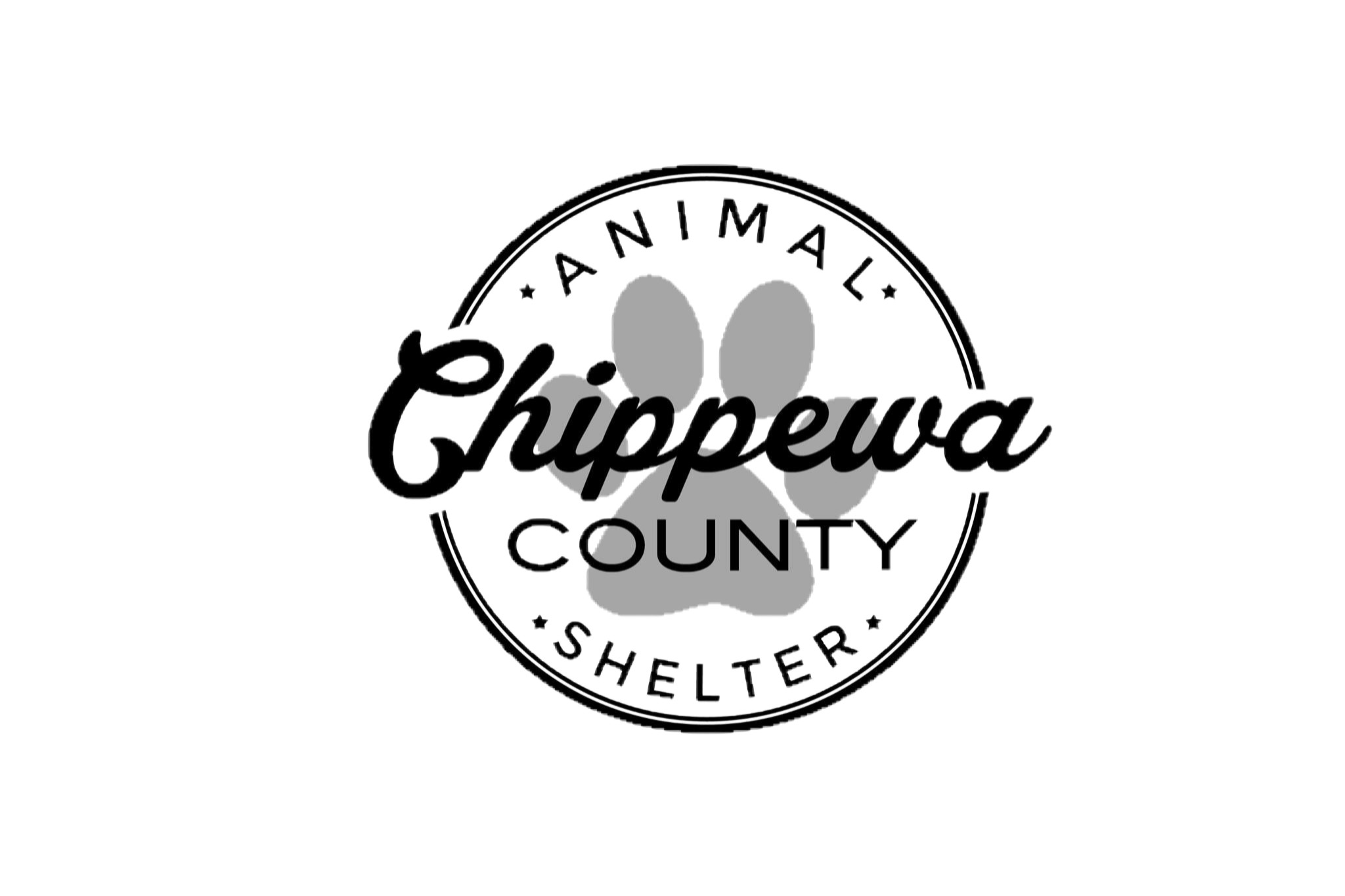 Pets for Adoption at Chippewa County Animal Control Shelter in