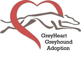 GREYHEART Greyhound Rescue & Adoption of Michigan