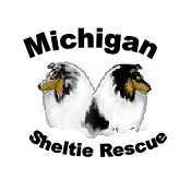 Michigan Sheltie Rescue
