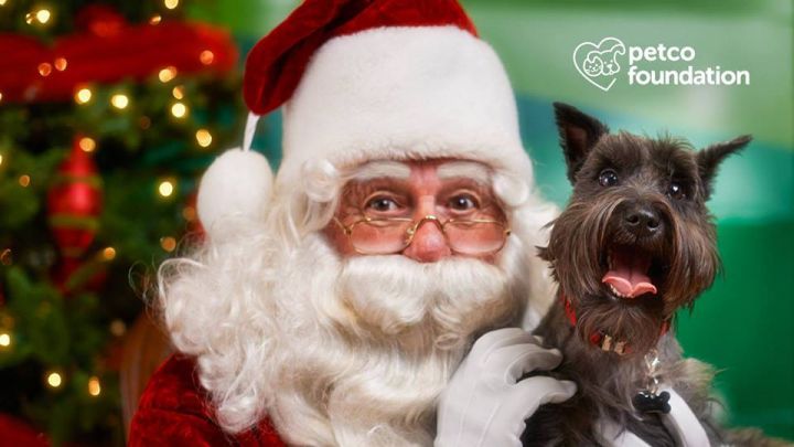 Santa Photos @ Sterling Petco-Contact for dates