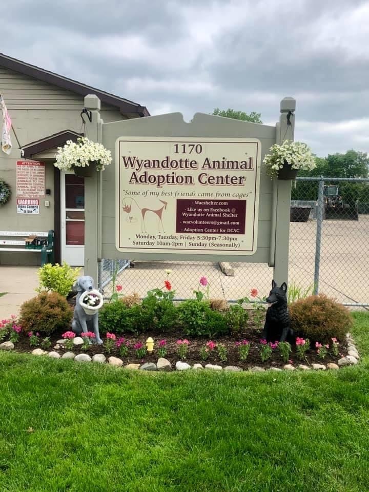 Wyandotte Animal Adoption Center