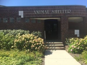 Bloomfield Township Animal Welfare