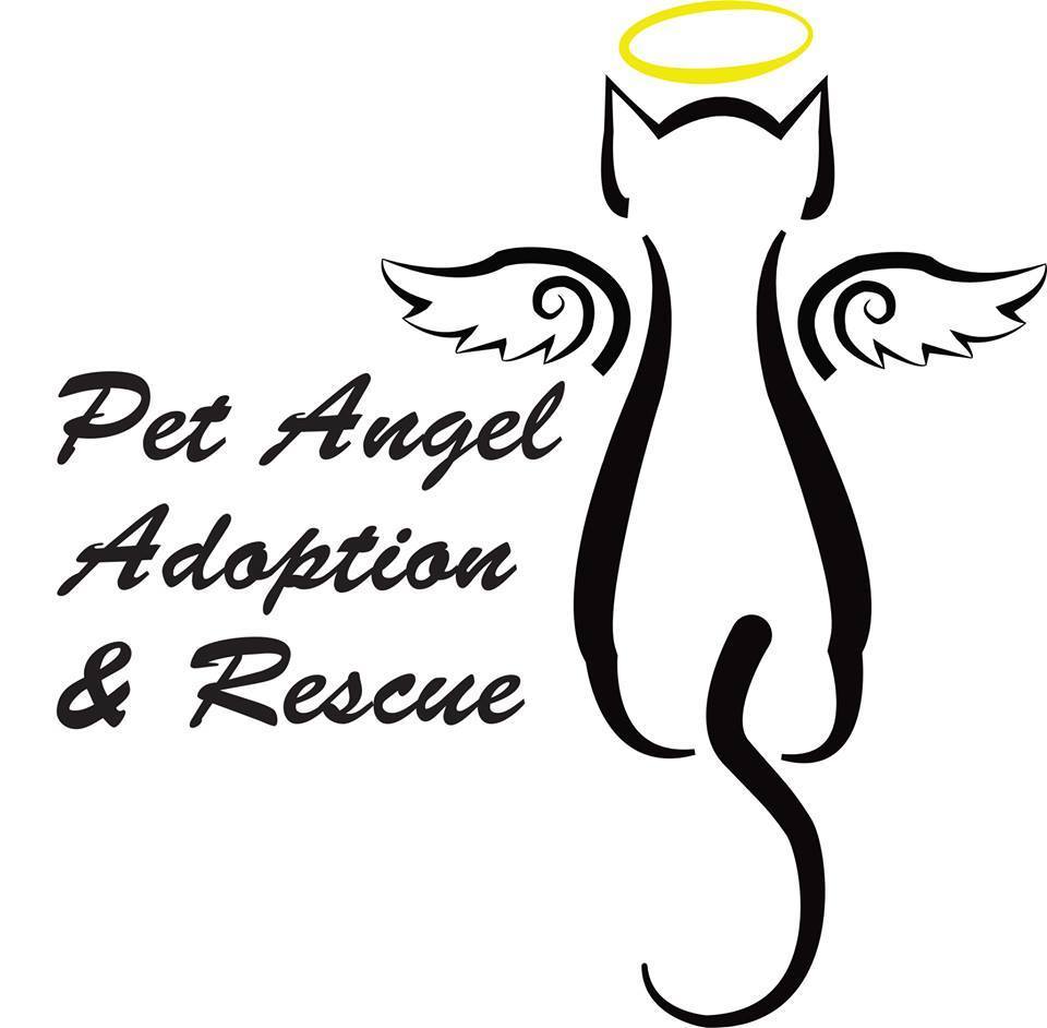 Pet Angel Adoption and Rescue Inc.